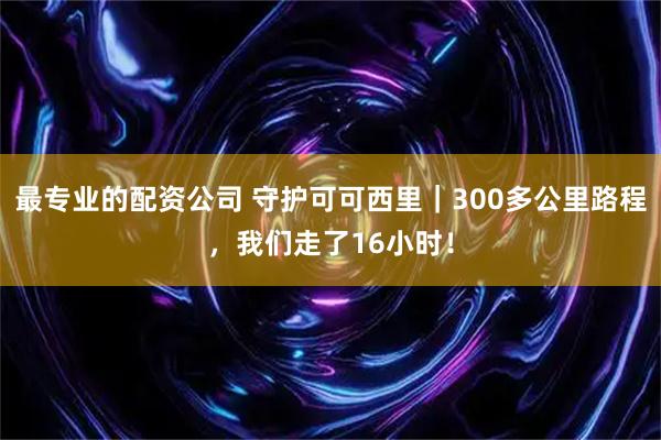 最专业的配资公司 守护可可西里｜300多公里路程，我们走了16小时！